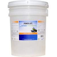 Power Lift Industrial Degreaser, 20 L, Pail Auto Electric Service Ltd.