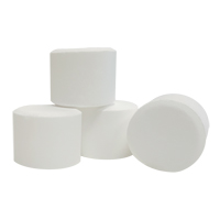 Tablettes d&eacute;sinfectantes et assainissantes Unitab, 786 g, Seau Auto Electric Service Ltd.