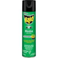 Insecticide pour insectes domestiques Raid, 350 g, &agrave; base de solvant Auto Electric Service Ltd.