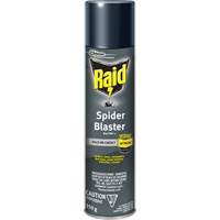 Insecticide exterminateur daraign&eacute;es Raid, 350 g, Canette a&eacute;rosol, &agrave; base de solvant Auto Electric Service Ltd.