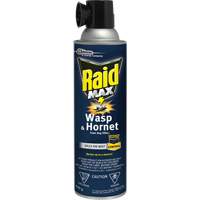 Mousse insecticide contre les gu&ecirc;pes et les frelons Raid Max, 500 g, Canette a&eacute;rosol, &agrave; base de solvant Auto Electric Service Ltd.