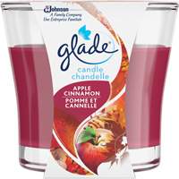 Chandelle en pot Glade, Pomme cannelle Auto Electric Service Ltd.