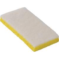 745W Light-Duty Scouring Sponges, 6-1/4" L x 3-1/5" W Auto Electric Service Ltd.
