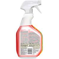 Disinfecting Bio Stain & Odour Remover, 946 ml, Trigger Bottle Auto Electric Service Ltd.