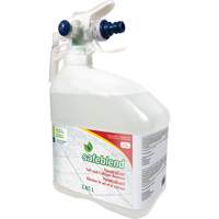 Concentrated Descaler, Cleaner & Dust Remover, Jug, 4 L Auto Electric Service Ltd.