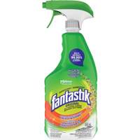 D&eacute;sinfectant nettoyant polyvalent Fantastik, 650 ml, Bouteille &agrave; g&acirc;chette Auto Electric Service Ltd.