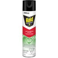 Insecticide pour araign&eacute;es et fourmis Essentials Raid, 350 g, Canette a&eacute;rosol Auto Electric Service Ltd.
