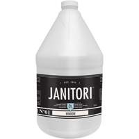 Janitori 01 Window Cleaner, 4 L, Jug Auto Electric Service Ltd.