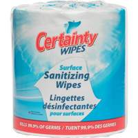 Surface Sanitizing Wipes, Packet Auto Electric Service Ltd.