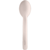 Bagasse Compostable Spoons Auto Electric Service Ltd.