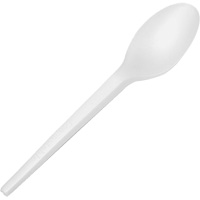 CPLA Compostable Spoons Auto Electric Service Ltd.