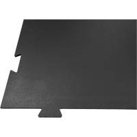 Plancher pour centre d'entraînement &agrave; la maison Voyager Auto Electric Service Ltd.