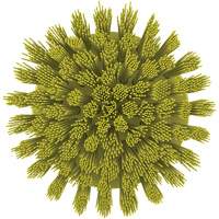Brosse ronde HyDrive pour perceuse, Soies Tr&egrave;s ferme, Longueur de 3-1/10", Jaune Auto Electric Service Ltd.