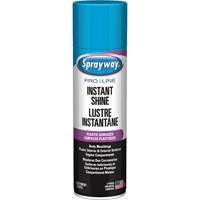 Brillant instantan&eacute; Pro Line pour surfaces en plastique, 11 oz, Canette a&eacute;rosol Auto Electric Service Ltd.
