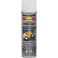 Inverted Marking Paint Spray, White, Aerosol Can Auto Electric Service Ltd.
