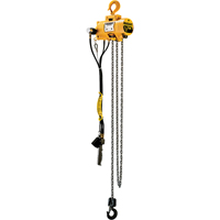 Budgit&reg; Air Chain Hoists Auto Electric Service Ltd.