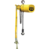 Budgit&reg; Series 6000 Air Hoists Auto Electric Service Ltd.