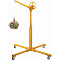 Tall Industrial Lifting Device with Mobile Base, 500 lbs. (0.25 tons) Capacity Auto Electric Service Ltd.