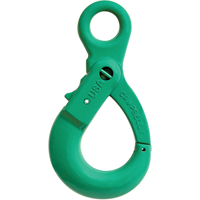Alloy Steel Eye-Type Self-Locking Hooks Auto Electric Service Ltd.
