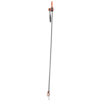 Mini Lever Hoist, 10' Lift, 1000 lbs. (0.5 tons) Capacity, Steel Chain Auto Electric Service Ltd.
