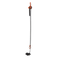 Mini Lever Hoist, 15' Lift, 1000 lbs. (0.5 tons) Capacity, Steel Chain Auto Electric Service Ltd.