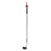 Mini Lever Hoist, 20' Lift, 1000 lbs. (0.5 tons) Capacity, Steel Chain Auto Electric Service Ltd.