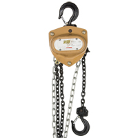 Heavy-Duty Gold Series Chain Hoist, 10' Lift, 1000 lbs. (0.5 tons) Capacity, Alloy Steel Chain Auto Electric Service Ltd.