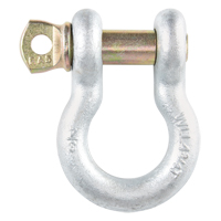 Anchor Shackles