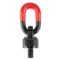 Anneaux de treuil de levage pivotant, 1/4", Longueur du filetage 13 mm, Acier alli&eacute; Auto Electric Service Ltd.