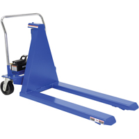 Electric Skid Lift, Steel, 2500 lbs. Capacity Auto Electric Service Ltd.