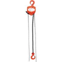 Chain Hoist, 10' Lift, 1000 lbs. (0.45 tons) Capacity, Alloy Steel Chain Auto Electric Service Ltd.