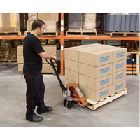 Transpalette manuel robuste, Acier, 48" lo x 27" la, Capacit&eacute; 5500 lb Auto Electric Service Ltd.