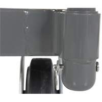 Platform Truck, 48" L x 24" W, 2000 lbs. Capacity, Rubber Casters Auto Electric Service Ltd.