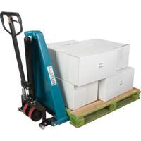Manual Scissor Skid Lift, 45-1/4" L x 27" W, Steel, 3300 lbs. Capacity Auto Electric Service Ltd.