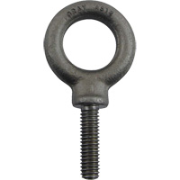 Alloy Steel Eye Bolt, 1" Dia., 1-1/4" L, 1480 lbs. (0.74 tons)/1480 lbs. Capacity Auto Electric Service Ltd.