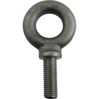 Alloy Steel Eye Bolt, 1-11/16" Dia., 2-1/4" L, 8800 lbs./8800 lbs. (4.4 tons) Capacity Auto Electric Service Ltd.