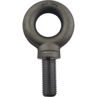Alloy Steel Eye Bolt, 2-3/16" Dia., 3" L, 18400 lbs./18400 lbs. (9.2 tons) Capacity Auto Electric Service Ltd.