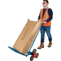 Diable monte-marches, Cadre en Acier, 23-3/4" la x 45-5/8" h, Capacit&eacute; de 300 lb Auto Electric Service Ltd.