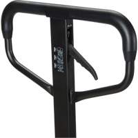 Transpalette manuel Quick-Lift, Acier, 48" lo x 20,5" la, Capacit&eacute; 5500 lb Auto Electric Service Ltd.