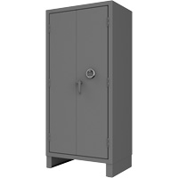 Access Control Cabinet Auto Electric Service Ltd.