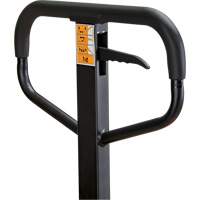 Transpalette manuel, Acier, 48" lo x 21" la, Capacit&eacute; 5500 lb Auto Electric Service Ltd.