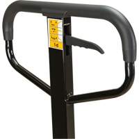 Transpalette manuel, Acier, 48" lo x 27" la, Capacit&eacute; 5500 lb Auto Electric Service Ltd.