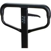 Transpalette &agrave; roues en acier, Acier, 48" lo x 27" la, Capacit&eacute; 5500 lb Auto Electric Service Ltd.