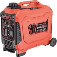 Inverter Generator Auto Electric Service Ltd.