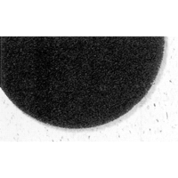 Tampons de d&eacute;capage Pro-Strip s&eacute;rie 7300, 17", D&eacute;capant, Noir Auto Electric Service Ltd.