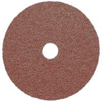 Resin Fibre Sanding Disc, Aluminum Oxide, A16, 5" Dia x 7/8" Arbor Auto Electric Service Ltd.