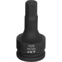 Screwdriver Bit Sockets