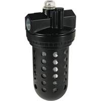 Wilkerson EconOmist&reg; Standard Lubricator L30, 1" NPT, Max. 150 PSI, Standard Auto Electric Service Ltd.
