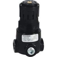 R&eacute;gulateur miniature R03 Wilkerson, 1/4" NPT, PSI max. de 300 psi, Standard Auto Electric Service Ltd.