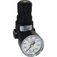 R&eacute;gulateur miniature R04 Wilkerson, 1/4" NPT, PSI max. de 300 psi, Standard Auto Electric Service Ltd.